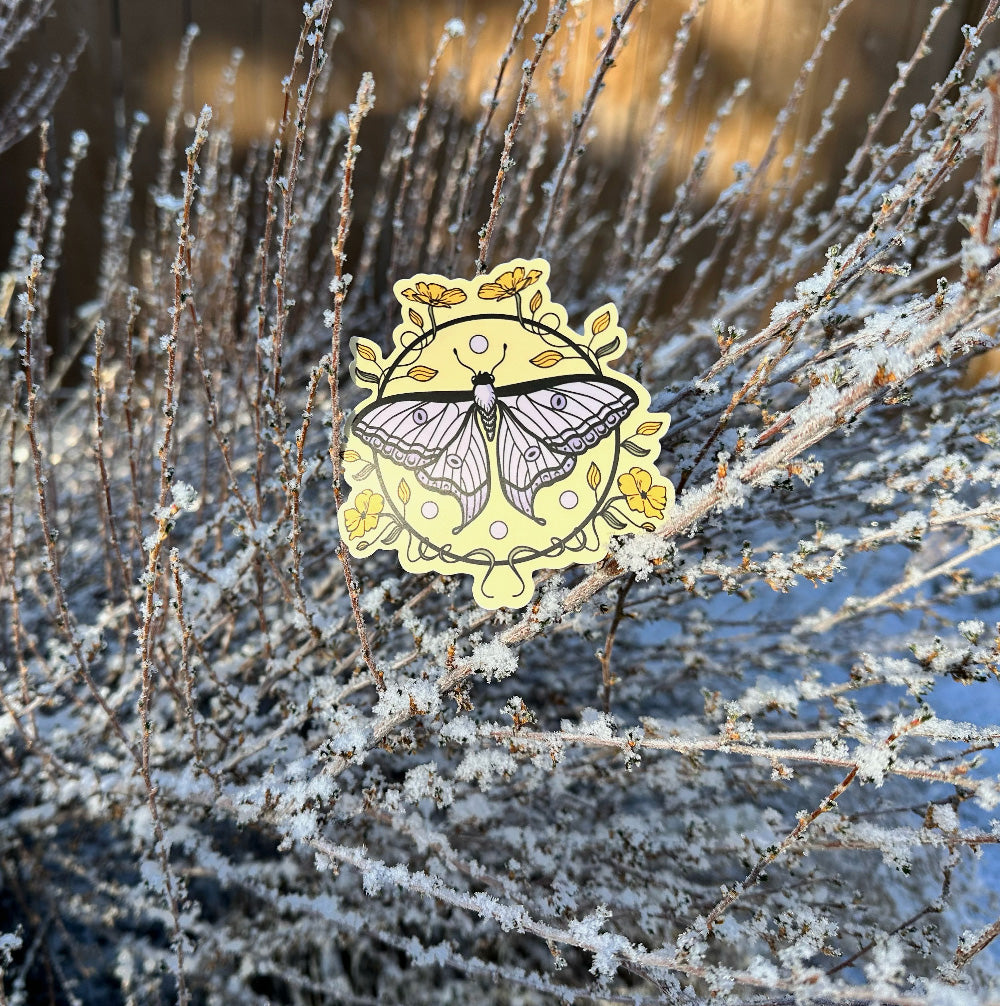 Floral Moth - Vinyl Sticker