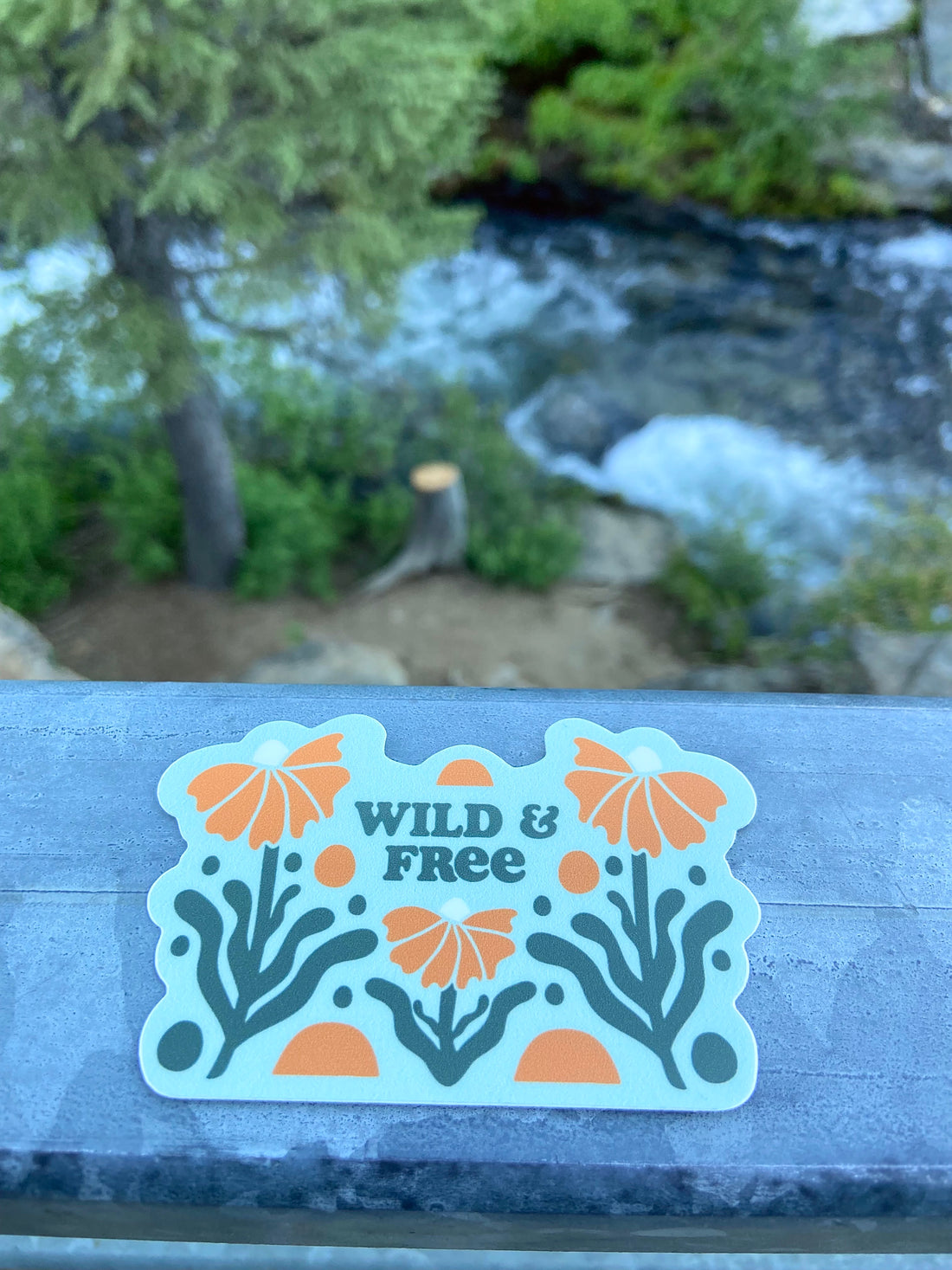 Wild and Free - Vinyl Sticker